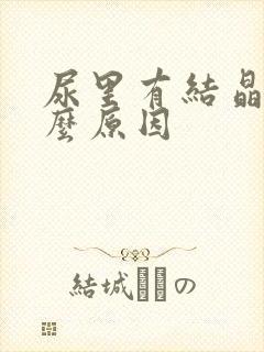 尿里有结晶是什么原因