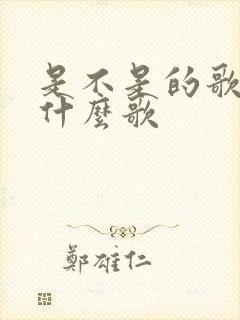 是不是的歌词是什么歌