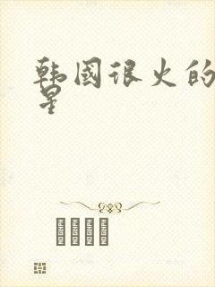 韩国很火的女明星