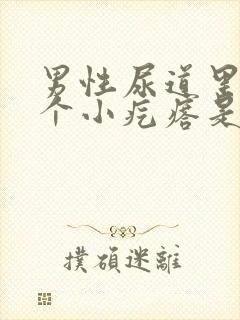 男性尿道里有一个小疙瘩是怎么回事