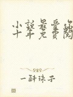 小说最爱你的那十年免费阅读