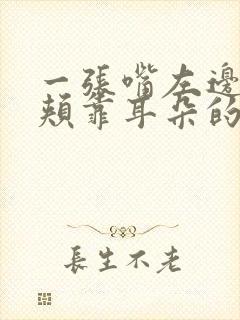 一张嘴左边的脸颊靠耳朵的骨头疼