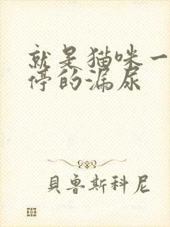 就是猫咪一直不停的漏尿