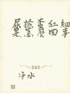 尿检查红细胞高是怎么回事潜血3+