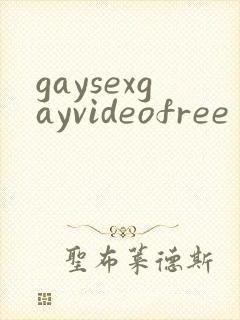 gaysexgayvideofree