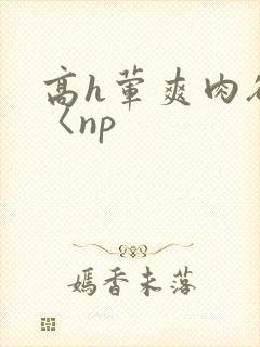 高h荤爽肉欲文〈np