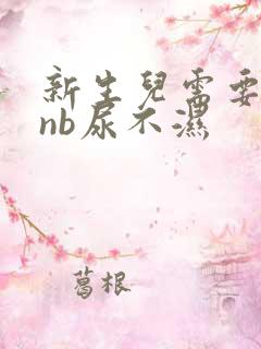 新生儿需要多少nb尿不湿