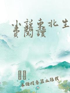 小说东北生涯免费阅读