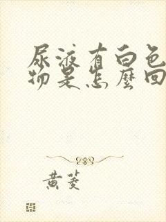 尿液有白色沉淀物是怎么回事