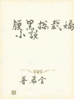 腹黑总裁娇宠妻 小说