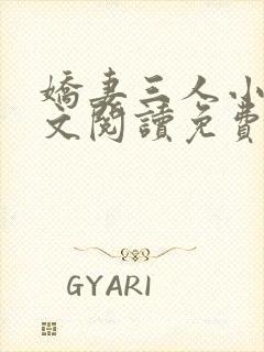娇妻三人小说全文阅读免费