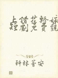 上错花轿嫁王爷短剧免费观看全集