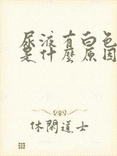 尿液有白色泡沫是什么原因