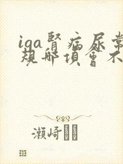 iga肾病尿常规哪项会不正常