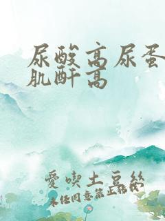 尿酸高尿蛋白高肌酐高