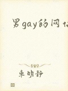男gay的网站