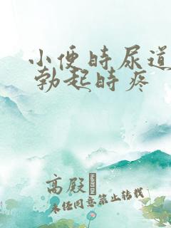 小便时尿道灼痛 勃起时疼