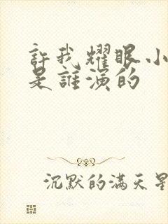 许我耀眼小蒋总是谁演的