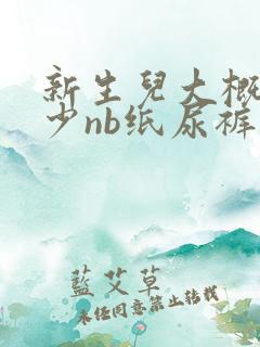 新生儿大概用多少nb纸尿裤