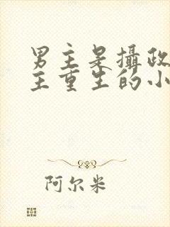 男主是摄政王女主重生的小说