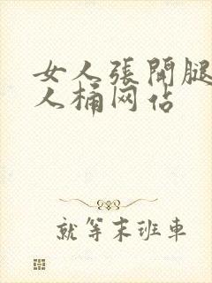 女人张开腿让男人桶网站