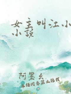 女主叫江小水的小说