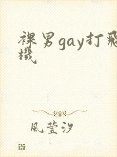 裸男gay打飞机