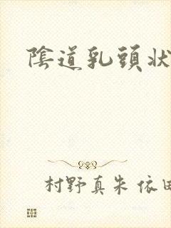 阴道乳头状肉芽