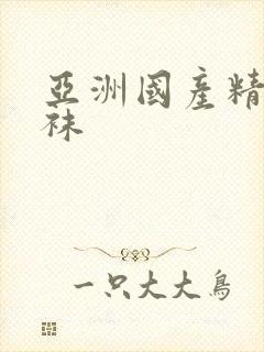 亚洲国产精品丝袜