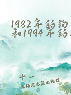 1982年的狗和1994年的狗婚姻相配吗