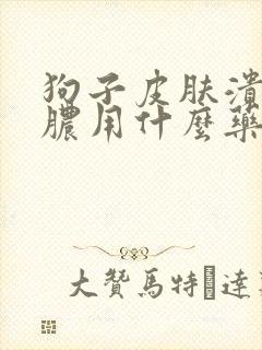 狗子皮肤溃烂流脓用什么药