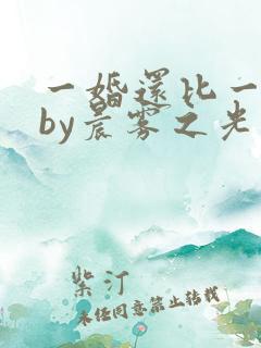 一婚还比一婚高by晨雾之光