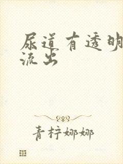 尿道有透明粘液流出