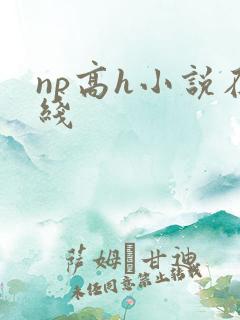 np高h小说在线