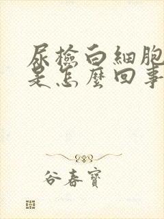 尿检白细胞感染是怎么回事