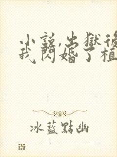 小说,出狱后,我闪婚了植物人大佬