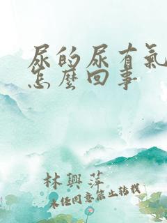 尿的尿有气泡是怎么回事