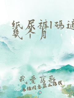 纸尿裤l码适合几个月