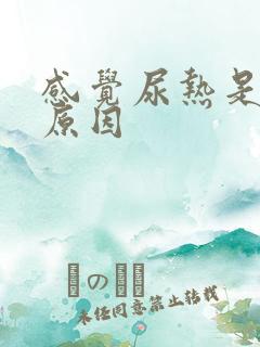 感觉尿热是什么原因