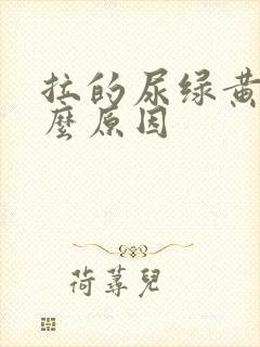 拉的尿绿黄是什么原因