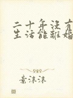 二十年没有夫妻生活能离婚吗怎么离