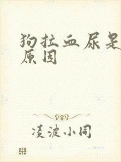 狗拉血尿是什么原因