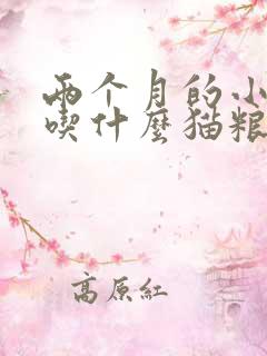 两个月的小猫咪吃什么猫粮