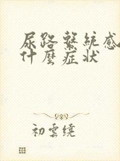 尿路系统感染有什么症状