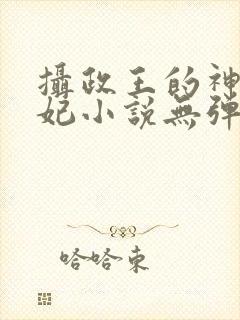 摄政王的神医狂妃小说无弹窗