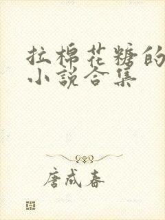 拉棉花糖的兔子小说合集