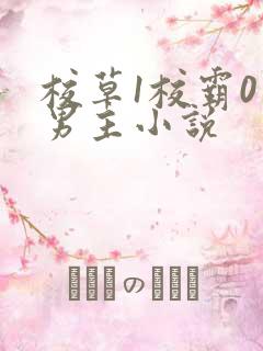 校草1校霸0双男主小说