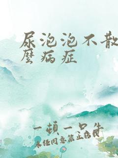 尿泡泡不散是什么病症