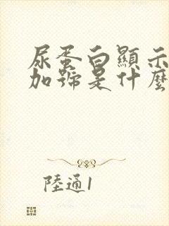 尿蛋白显示两个加号是什么原因怎么治疗