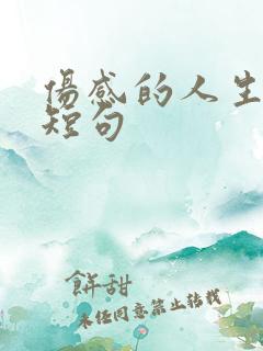 伤感的人生感悟短句